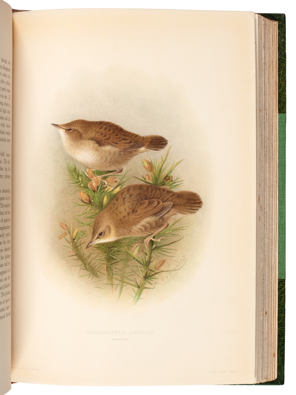 View full screen - View 1 of Lot 56. H. Eliot Howard | The British warblers, 1907-1914, 2 volumes.
