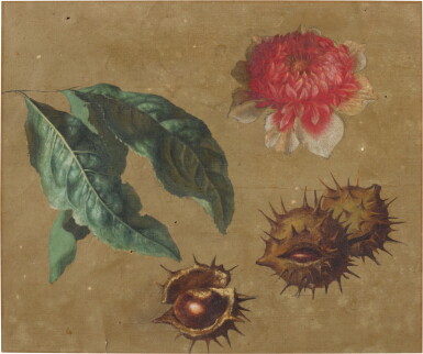 View full screen - View 1 of Lot 312. Horse Chestnut, Apple Leaves and Blossom.