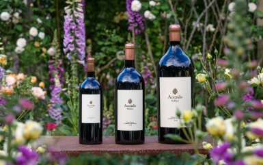 View full screen - View 1 of Lot 61. Explore the World of Fine Wine | Accendo, Napa Valley, USA | 1 half bottle, 1 bottle, 1 Magnum, 1 Double Magnum (3L) and 1 Imperial (6L) of Accendo Cabernet Sauvignon 2018 together with 2 tickets to the Harvest Stomp in Napa 2026.