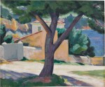 Tree and Houses on the French Riviera