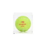 Elena Rybakina v. Coco Gauff 2026 US Open Semifinal Match Point Tennis Ball | 3rd Set