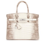 White Matte Niloticus Crocodile Himalaya Birkin 30 18K White Gold and Diamond Hardware, 2008