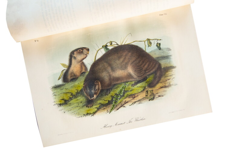 Cover image 0