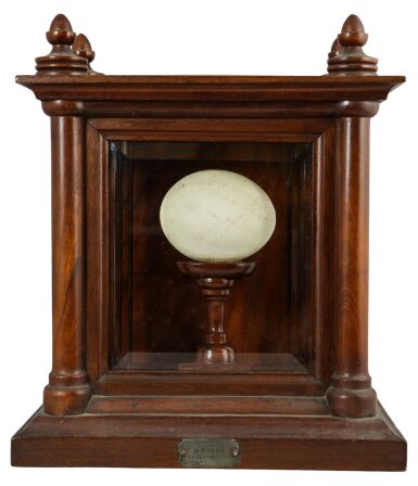 View full screen - View 1 of Lot 191. British Antarctic "Terra Nova" Expedition, 1910-1913 | Adelie penguin egg, signed by expedition members.