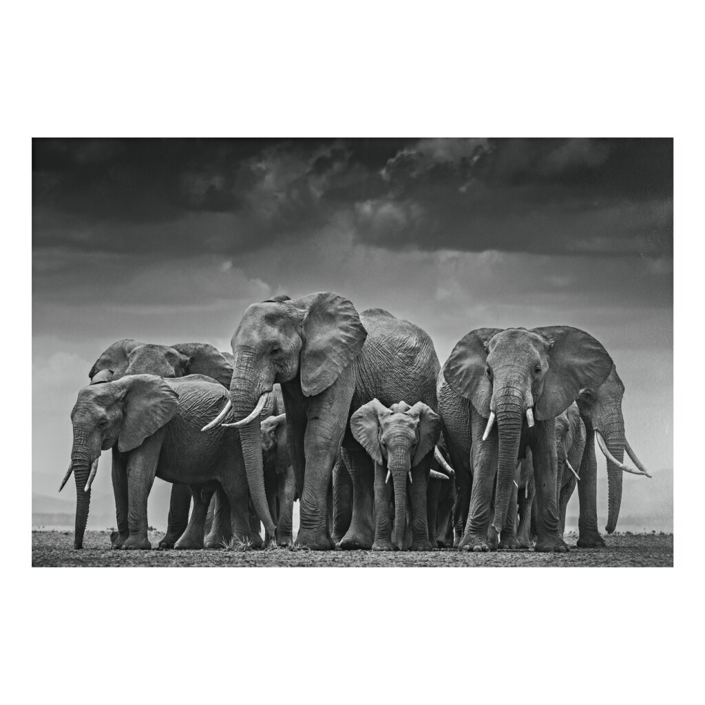 View full screen - View 1 of Lot 210. DAVID YARROW | CIRCLE OF LIFE II.