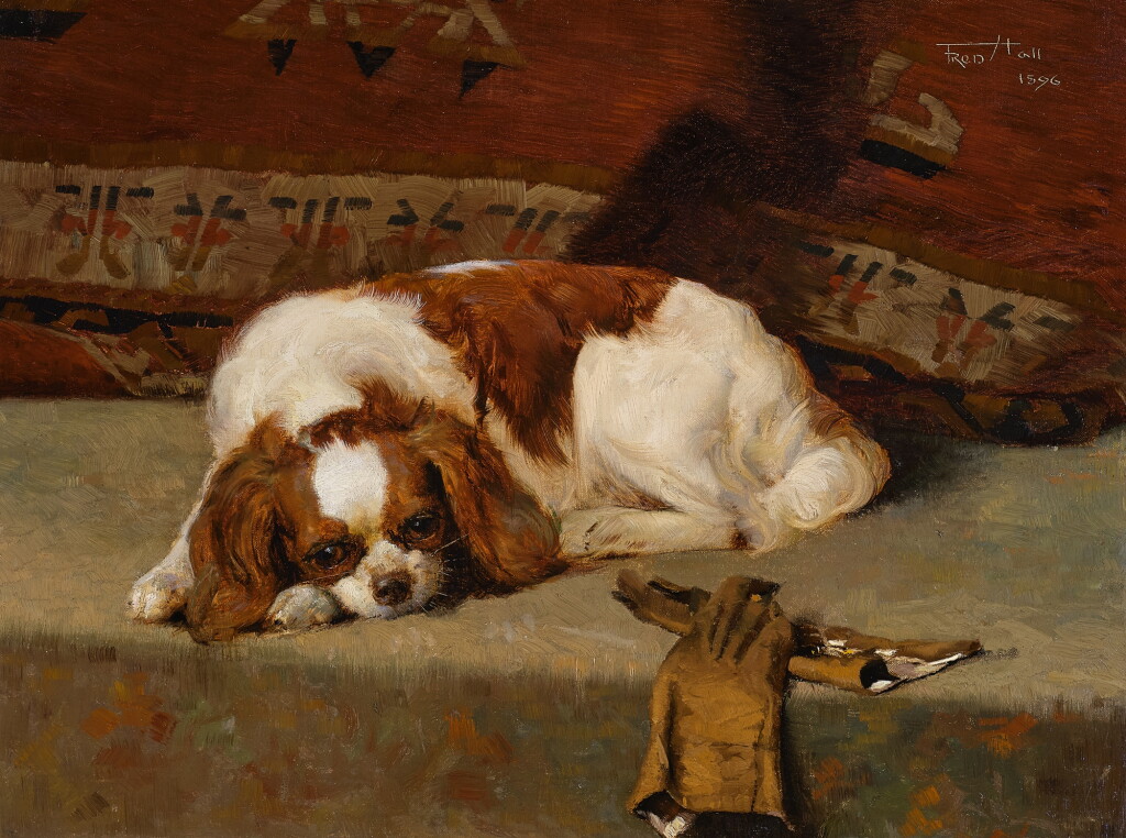 全螢幕檢視 - 查看170King Charles Spaniel的1