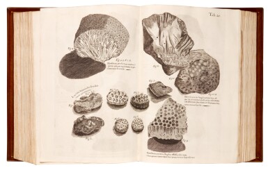 View full screen - View 1 of Lot 49. Hans Sloane | A Voyage to the Islands Madera, Barbados, Nieves, S. Christophers and Jamaica, 1707-25, 2 volumes.