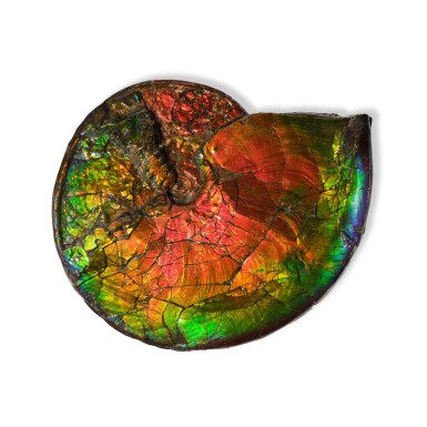 View full screen - View 1 of Lot 8. Large Iridescent Ammonite Fossil.