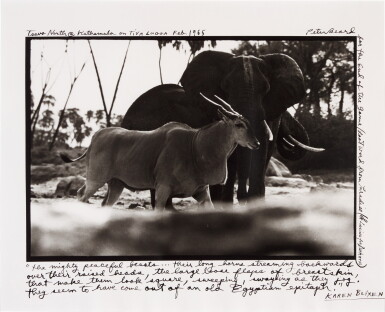 View full screen - View 1 of Lot 92. 'Tsavo North @ Kathemula on Tiva Lugga', Feb. 1965.