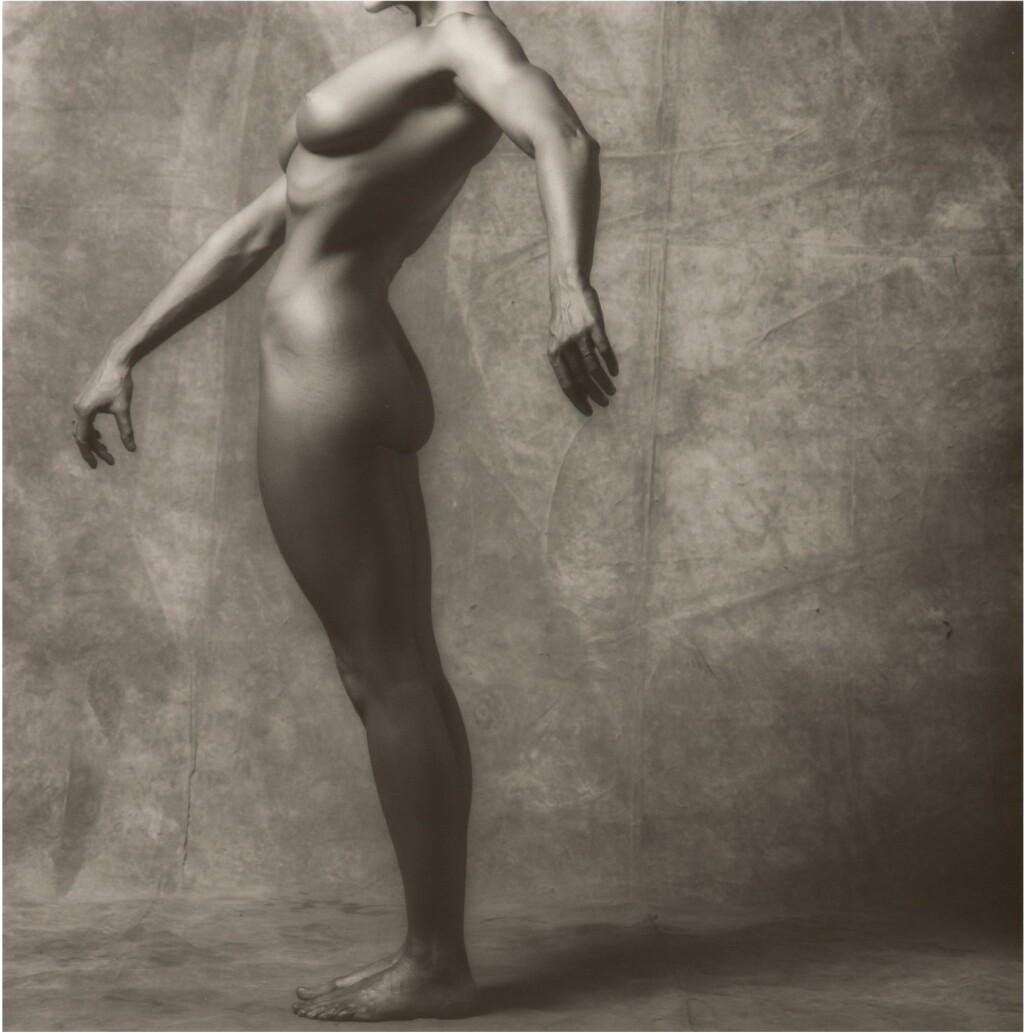 View full screen - View 1 of Lot 15. ROBERT MAPPLETHORPE | LISA LYON.