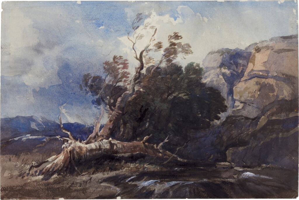 View full screen - View 1 of Lot 197. A fallen tree in a rocky landscape.
