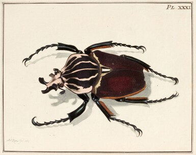 View full screen - View 1 of Lot 68. Dru Drury | Illustrations of natural history... exotic insects, London, 1770-1773, 2 volumes, calf.