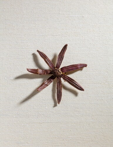 View full screen - View 1 of Lot 170. Broche Marguerite, pièce unique.