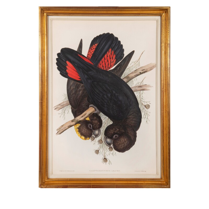 Cover image 0