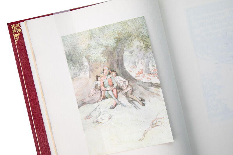 Cover image 0
