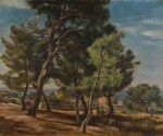 JÓZEF PANKIEWICZ | VERDON, PROVENCE