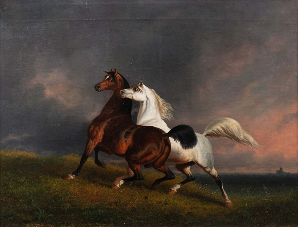 View full screen - View 1 of Lot 75. Two stallions | Deux étalons.