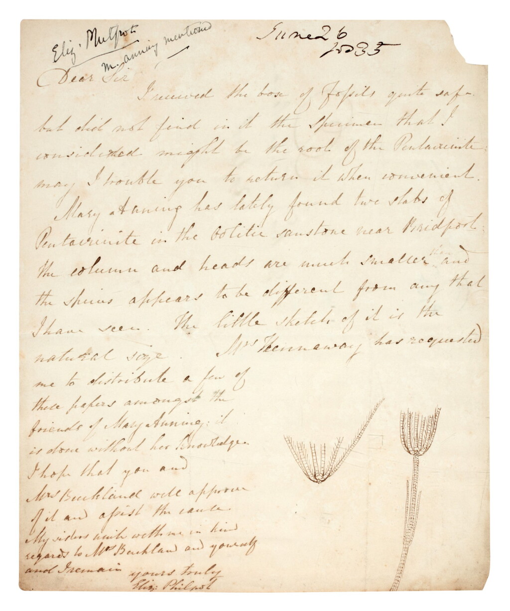 View full screen - View 1 of Lot 42. Elizabeth Philpot | Autograph letter signed, to William Buckland, 26 June 1835.