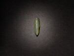 A green and russet jade 'cicada' pendant, Western Zhou dynasty