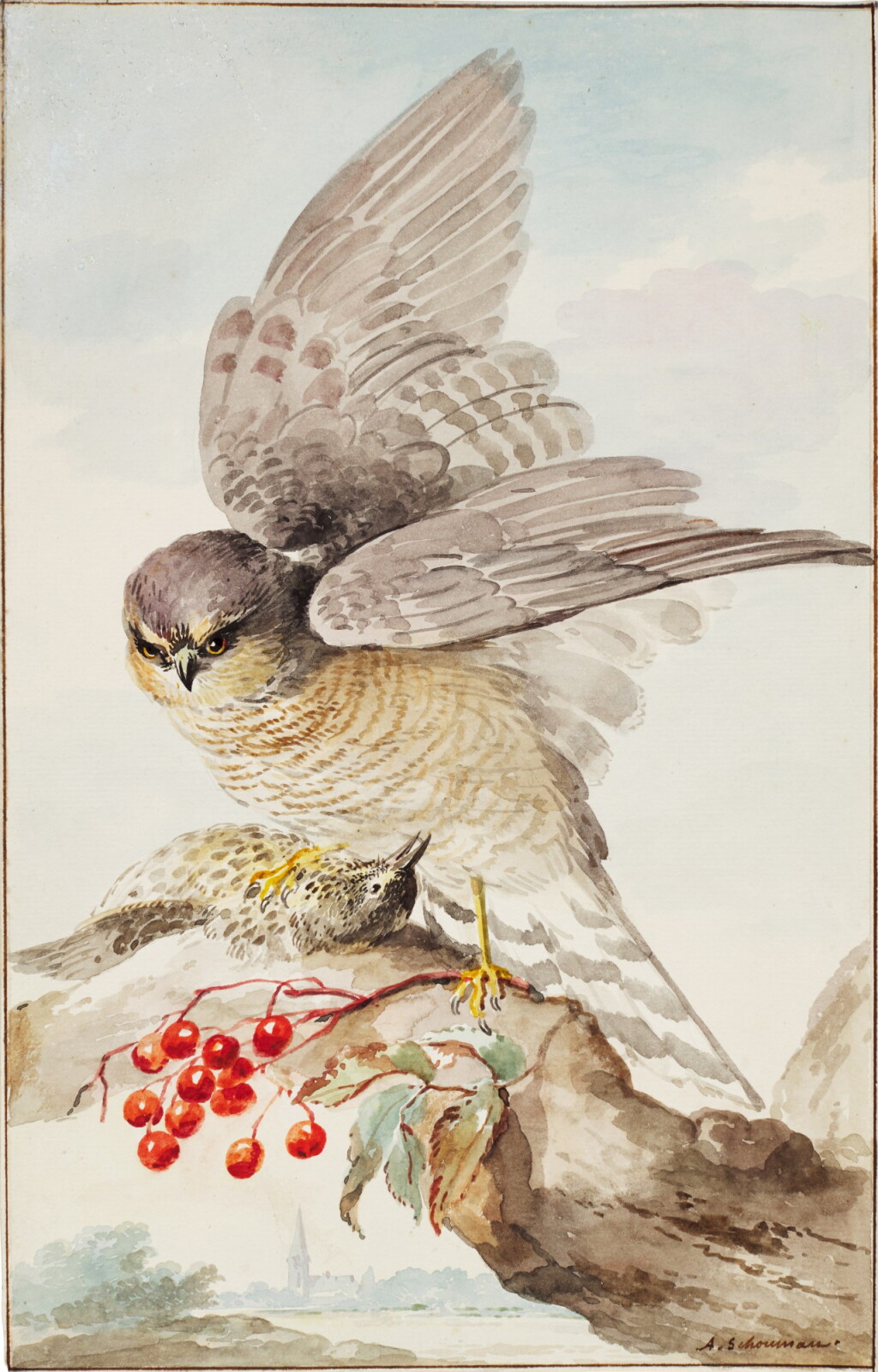View full screen - View 1 of Lot 154. A Japanese Sparrowhawk with its prey, on a branch.