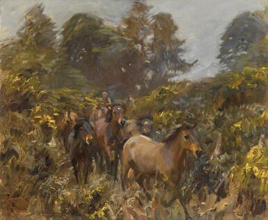 View full screen - View 1 of Lot 161. Coming through the gap.