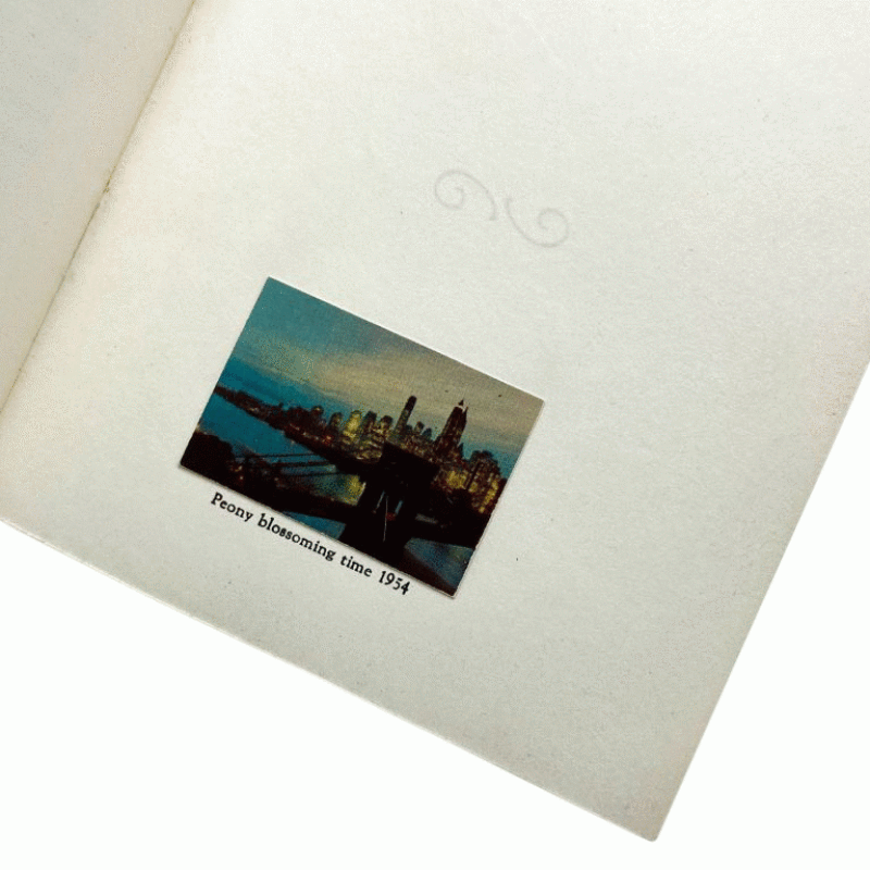 Cover image 0