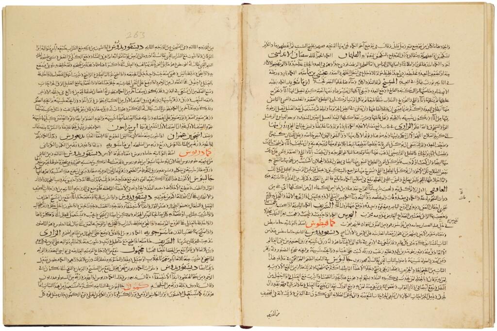 View full screen - View 1 of Lot 12. Diya' al-Din Abu Muhammad ‘Abdullah ibn Ahmed al-Malaqi, known as Ibn Al-Baytar (d.1248), Kitab al-jami' li-mufradat al-adwiyah wa'l-aghdhiyah ('The Compendium on Simple Drugs and Foodstuffs'), Near East, circa 1300 AD.