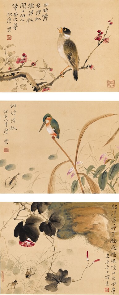 View full screen - View 1 of Lot 9025. 唐雲 花鳥草蟲 | Tang Yun, Flowers and Birds.