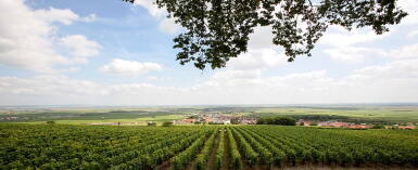 View full screen - View 1 of Lot 200. Salon Le Mesnil, Blanc de Blancs 1996 (1 MAG).