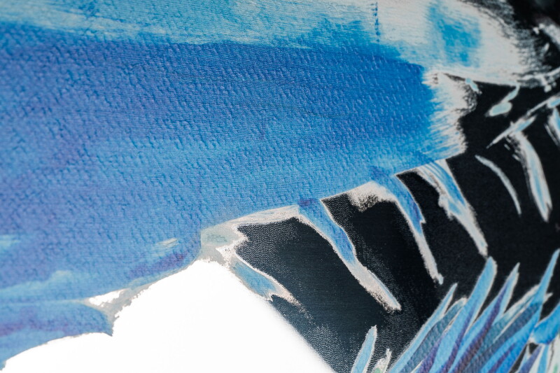 Cover image 0