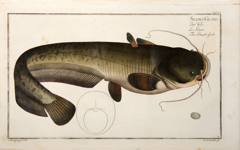 Cover image 0