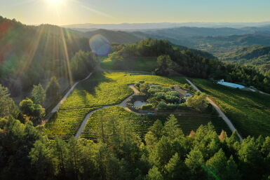 View full screen - View 1 of Lot 17. Diamond Mountain Vineyard | Tour, Tasting, Lunch and a Case of Wine 2018 .
