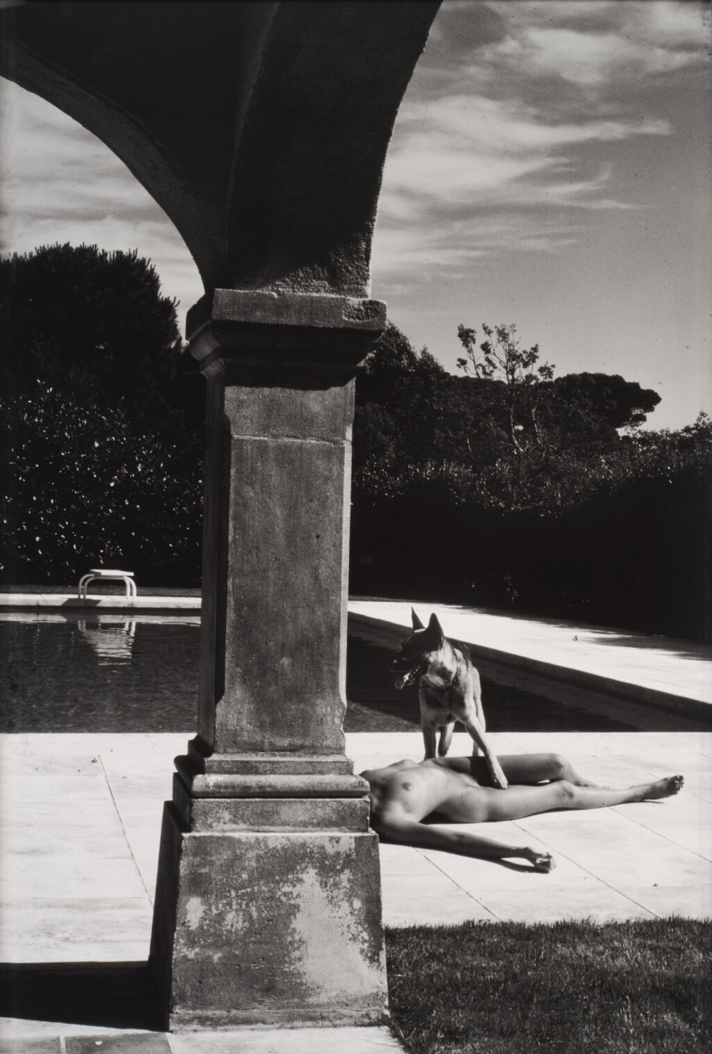 View full screen - View 1 of Lot 1030. Nude and Police Dog, St Tropez.