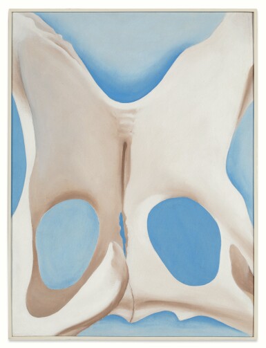 View full screen - View 1 of Lot 114. Pelvis.