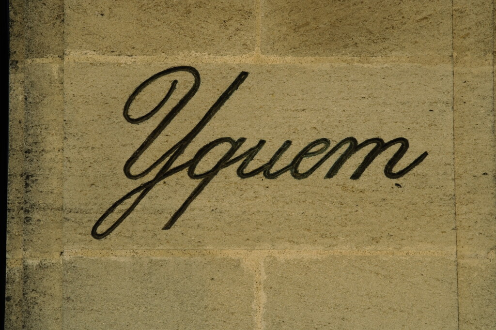 View full screen - View 1 of Lot 598. Château d'Yquem 2015 (6 BT).