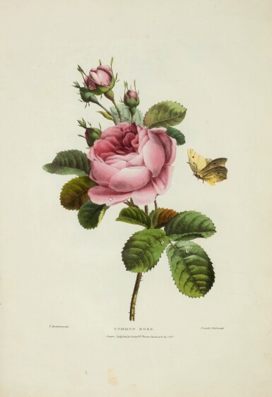 View full screen - View 1 of Lot 259. Valentine Bartholomew | A selection of flowers adapted principally for students, London, 1822, green half morocco.