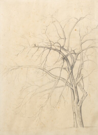 View full screen - View 1 of Lot 151. Etude d'arbre.