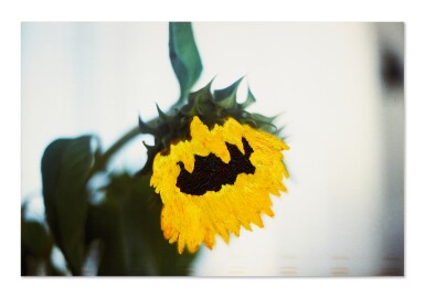 View full screen - View 1 of Lot 30. The Sunflower of Onassis.