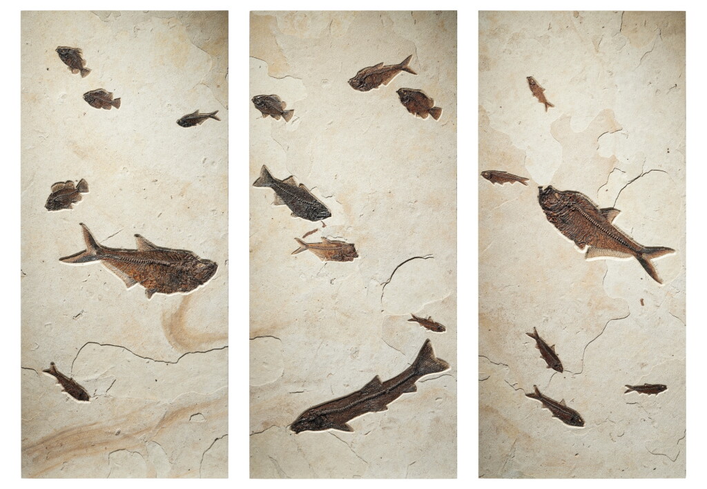 View full screen - View 1 of Lot 27. Multi-Fish Triptych Mural.
