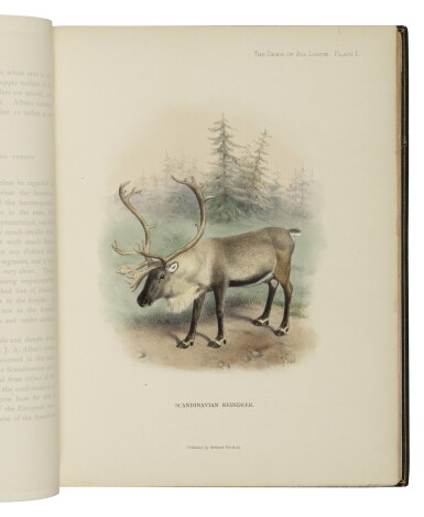 View full screen - View 1 of Lot 61. LYDEKKER, RICHARD | The Deer of All Lands. London: Rowland Ward, Limited, 1898.