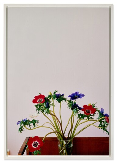 View full screen - View 1 of Lot 869. Anemone.