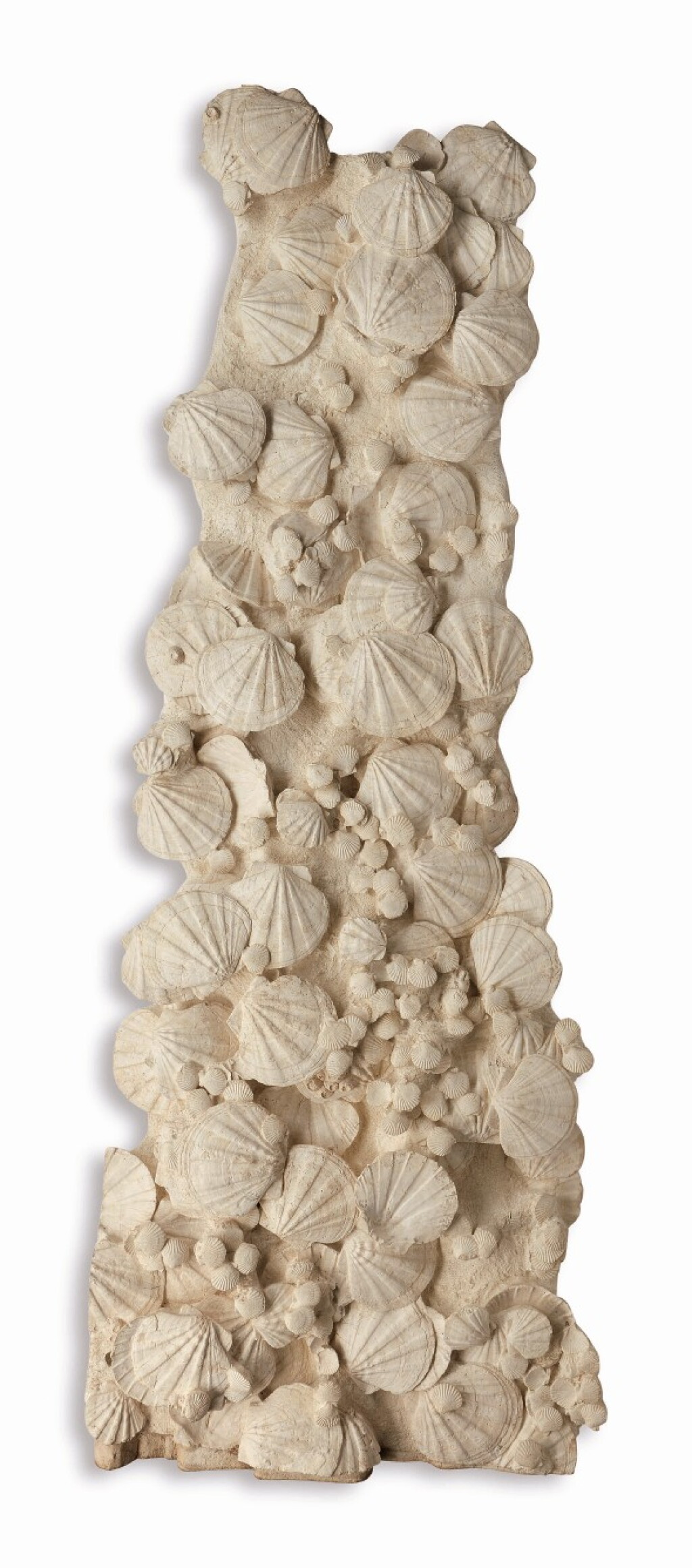 View full screen - View 1 of Lot 17. A Sculptural Mural of Fossilized Saint-Jacques Shells.