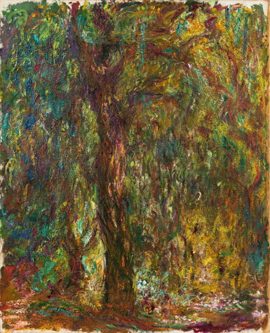 Saule pleureur ou L'Arbre de feu