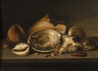 View full screen - View 1 of Lot 128. Tropical sea shells on a stone ledge | Coquillages tropicaux sur un entablement.