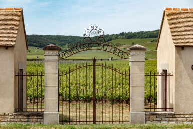 View full screen - View 1 of Lot 289. Corton, Clos des Cortons 2015 Faiveley (6 BT).
