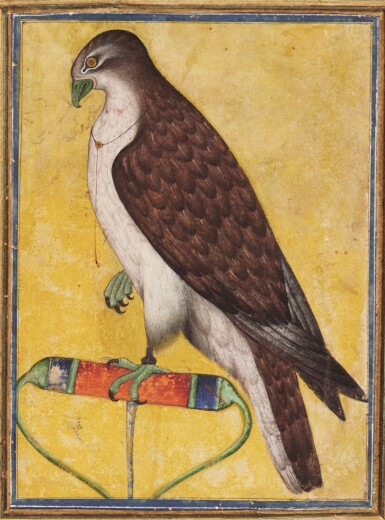 View full screen - View 1 of Lot 183. A FALCON ON A PERCH, INDIA, DECCAN, POSSIBLY BIJAPUR, MID-17TH CENTURY.