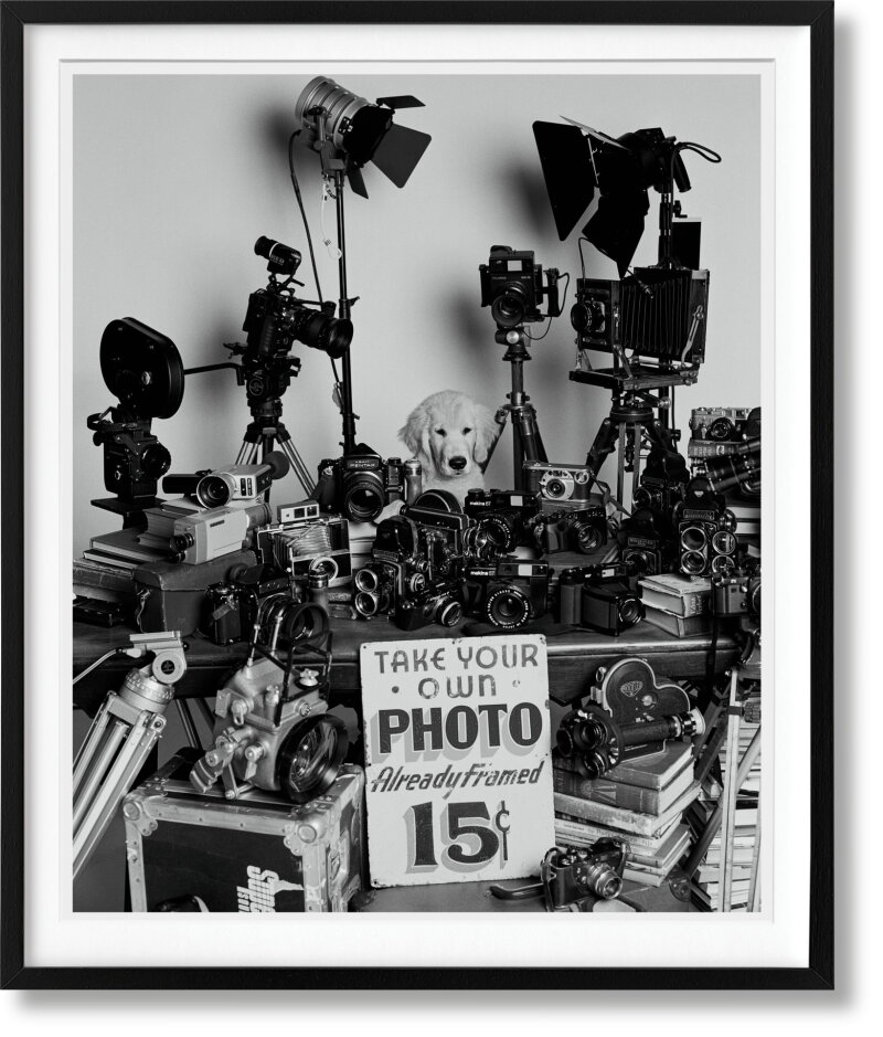 Cover image 0