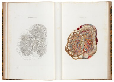 View full screen - View 1 of Lot 98. Mascagni | Anatomia universale, Florence, 1833, 2 volumes, half green morocco.