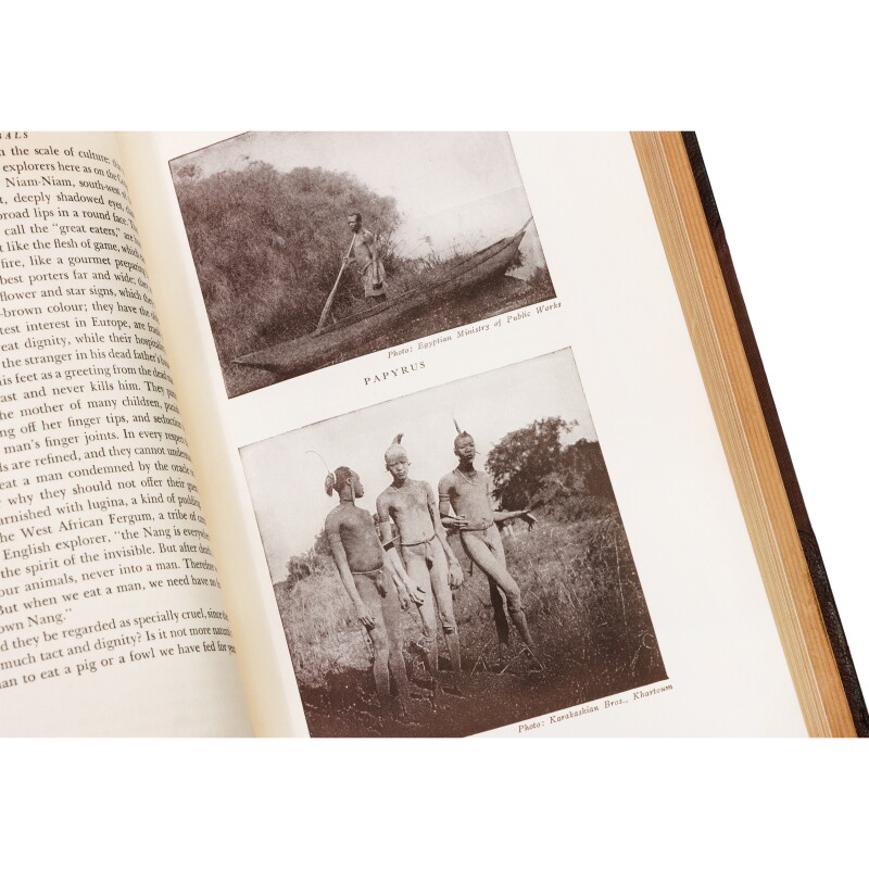 Cover image 0