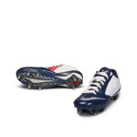 Danny Amendola Dual Signed Cleats